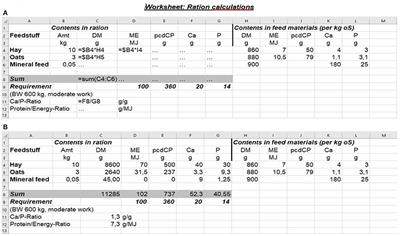 Comparison of Veterinary Nutrition Exam Results After Classroom or Virtual Teaching During the COVID-19 Pandemic at a German University